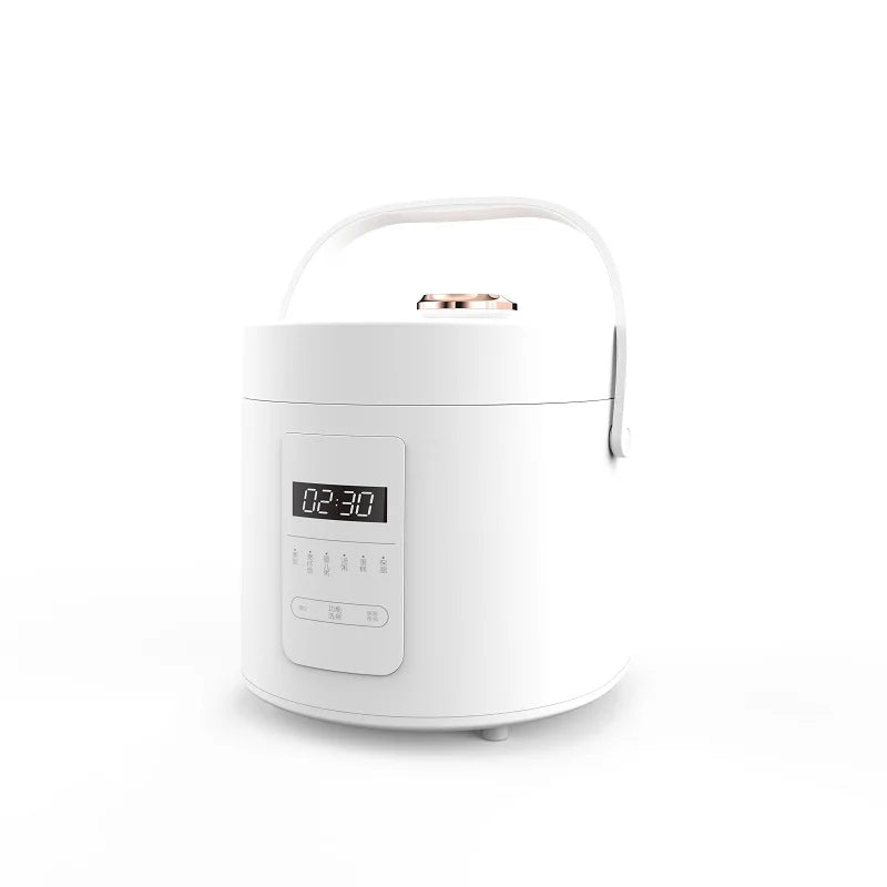 DUTRIEUX 1.2L 6-in-1 Mini Electric Rice Cooker | Smart Timer Mini Rice Cooker SPOT
