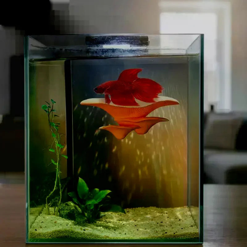 Mushroom Hammock Betta Fish Resting Pad – PLA Aquarium Decor Aquarium Decor SPOT