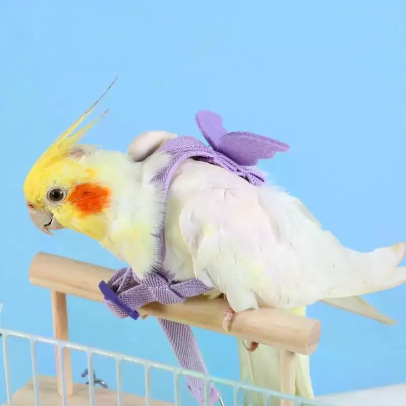 Parrot Flight Harness & Leash – Budgie, Cockatiel & Lovebird Bird Flight Harness SPOT