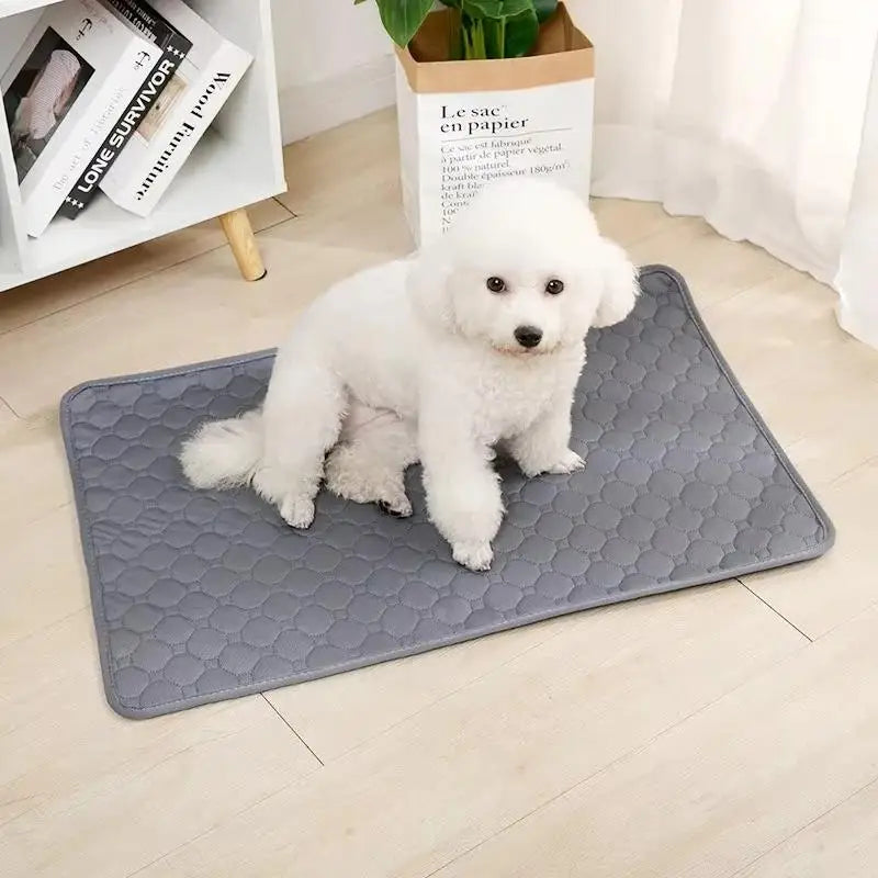Washable Reusable Dog Training Pad – Absorbent Pet Mat Pet Training Mat SPOT