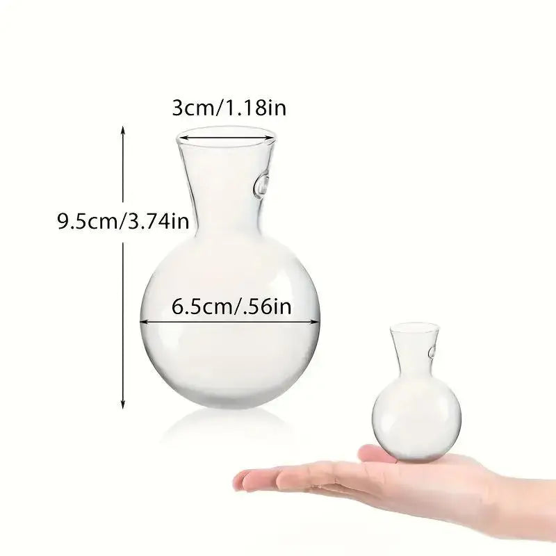 Mini Wall-Mounted Hydroponic Propagation Vases – Set of 2/3/4 Hanging Propagation Vase SPOT