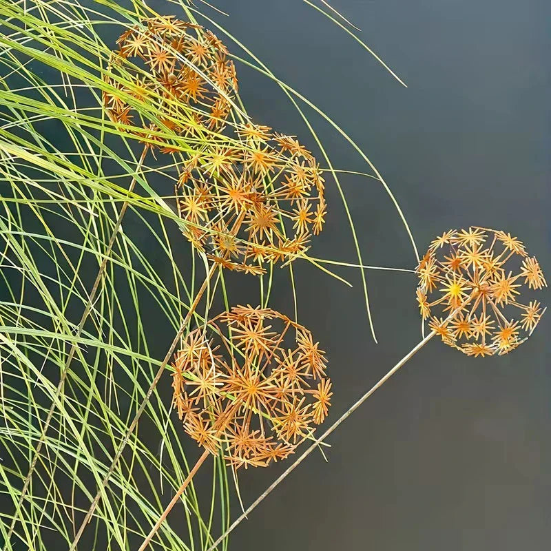 Vintage Metal 3D Dandelion Garden Stake | Outdoor Sculpture Garden Sculpture Stake SPOT