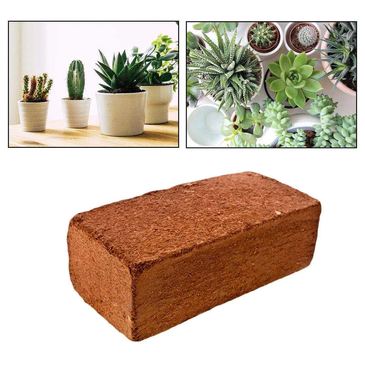 650g Coconut Coir Brick – Organic Coco Peat Growing Medium Coconut Coir Brick SPOT