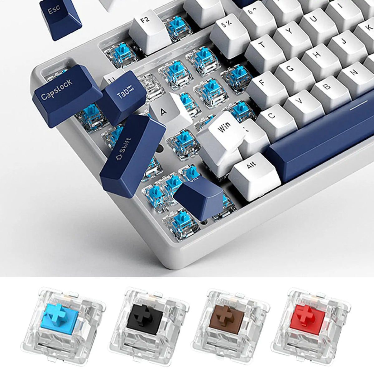 30-Pack Mechanical Keyboard Switches – Red, Brown, Green, Black Keyboard Switches SPOT