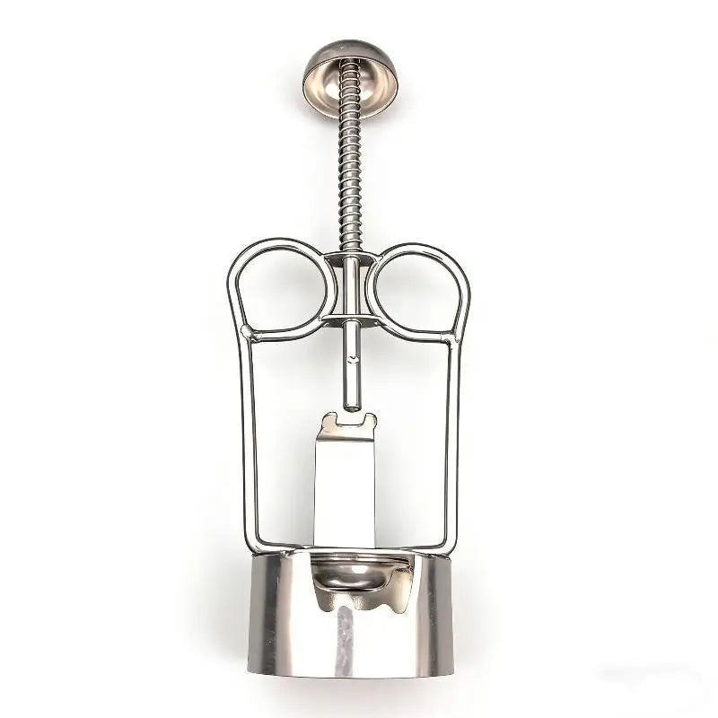 304 Stainless Steel Date Pitter & Fruit Core Remover Tool Fruit Pitter Tool SPOT