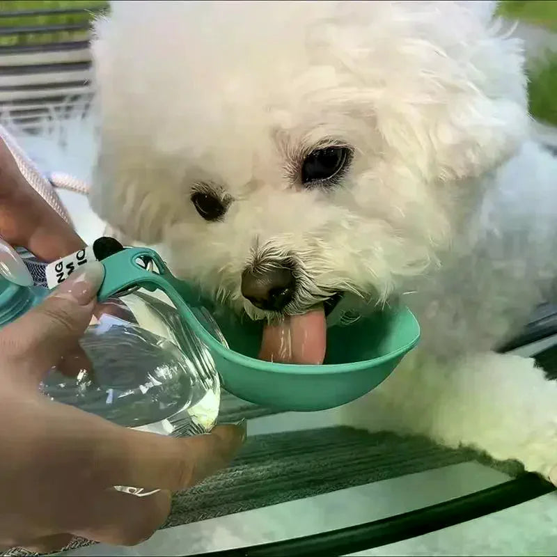Portable 2-in-1 Pet Water Bottle & Foldable Bowl 285ml Pet Travel Water Bottle SPOT