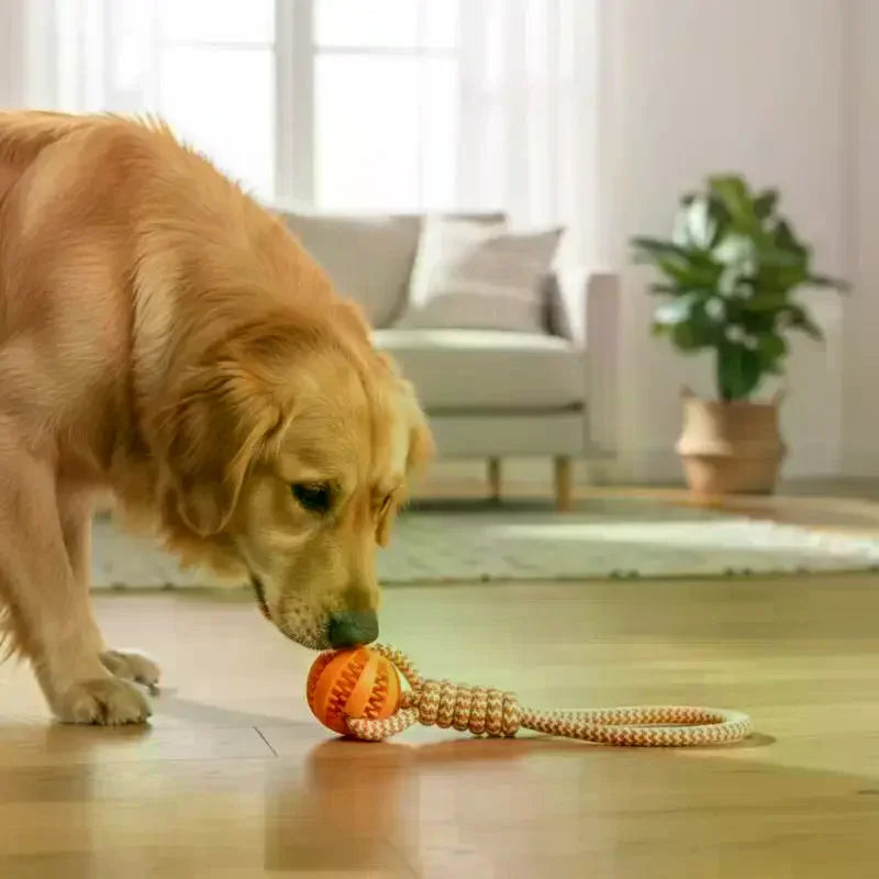 Interactive Dog Chew Toy – Food Leak Ball with Rope Pull Ring Dog Chew Toy SPOT