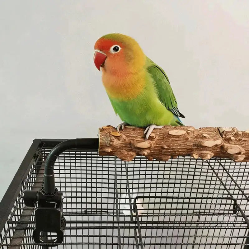 Clip-On Wooden Parrot Perch – Bird Potty Training Stand Bird Training Perch SPOT