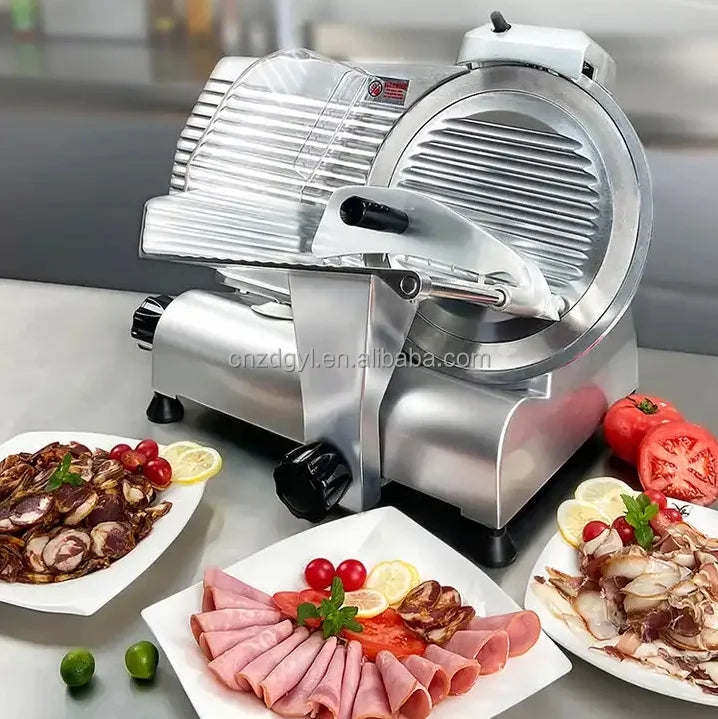 DUTRIEUX Semi-Auto Electric Frozen Meat Slicer 250mm Blade Electric Meat Slicer SPOT