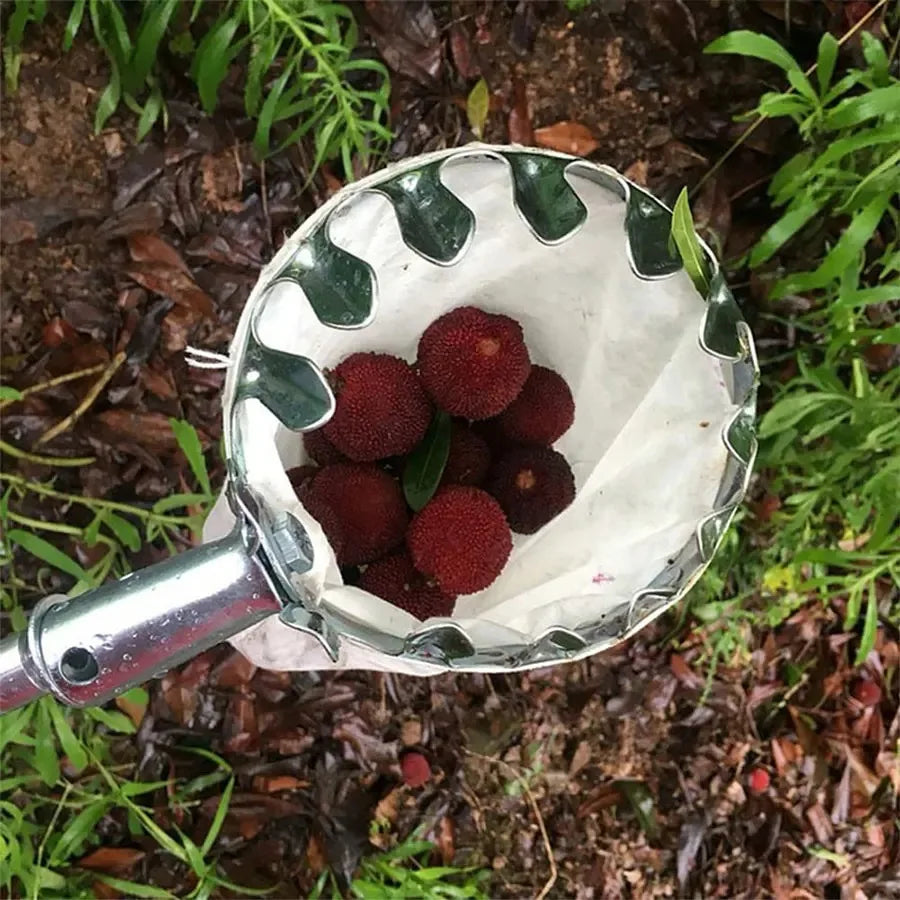 Adjustable Fruit Picker Kit – Berry, Cherry & Citrus Collector Fruit Picking Tool SPOT