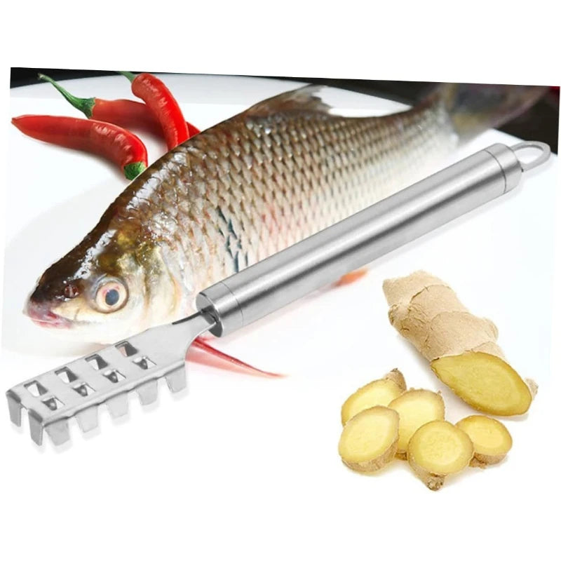3-Pack Stainless Steel Fish Scale Remover & Scraper Set Fish Scale Scraper SPOT