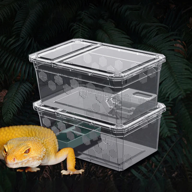 Transparent Reptile Breeding Box Vivarium with Climbing Platform Reptile Vivarium SPOT