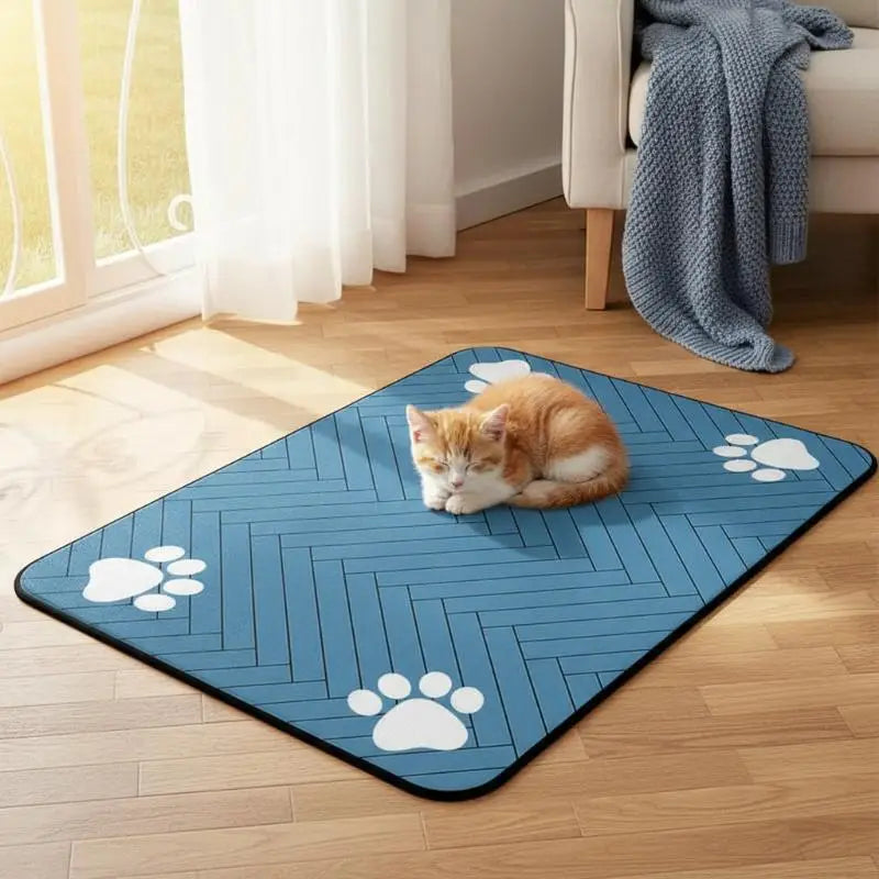 Diatomaceous Earth Pet Placemat – Non-Slip Absorbent Bowl Mat Pet Feeding Mat SPOT