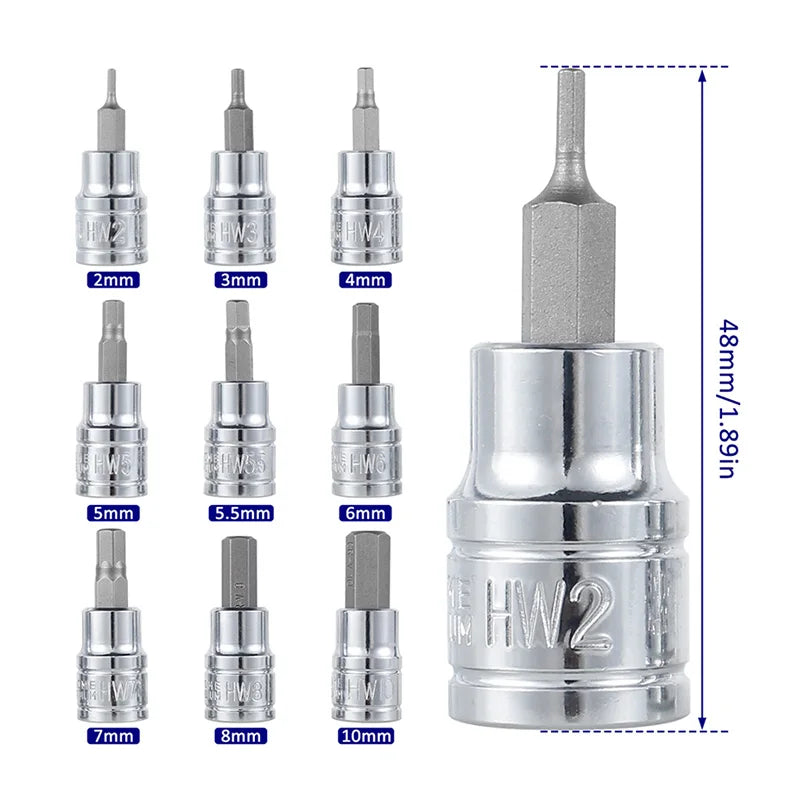 3/8" Drive Hex & Star Socket Set – Chrome Vanadium Steel Socket Set SPOT