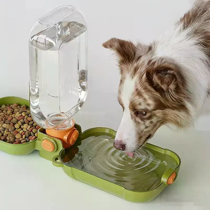 2-in-1 Portable Pet Water Bottle & Travel Cup – BPA-Free Pet Travel Water Bottle SPOT