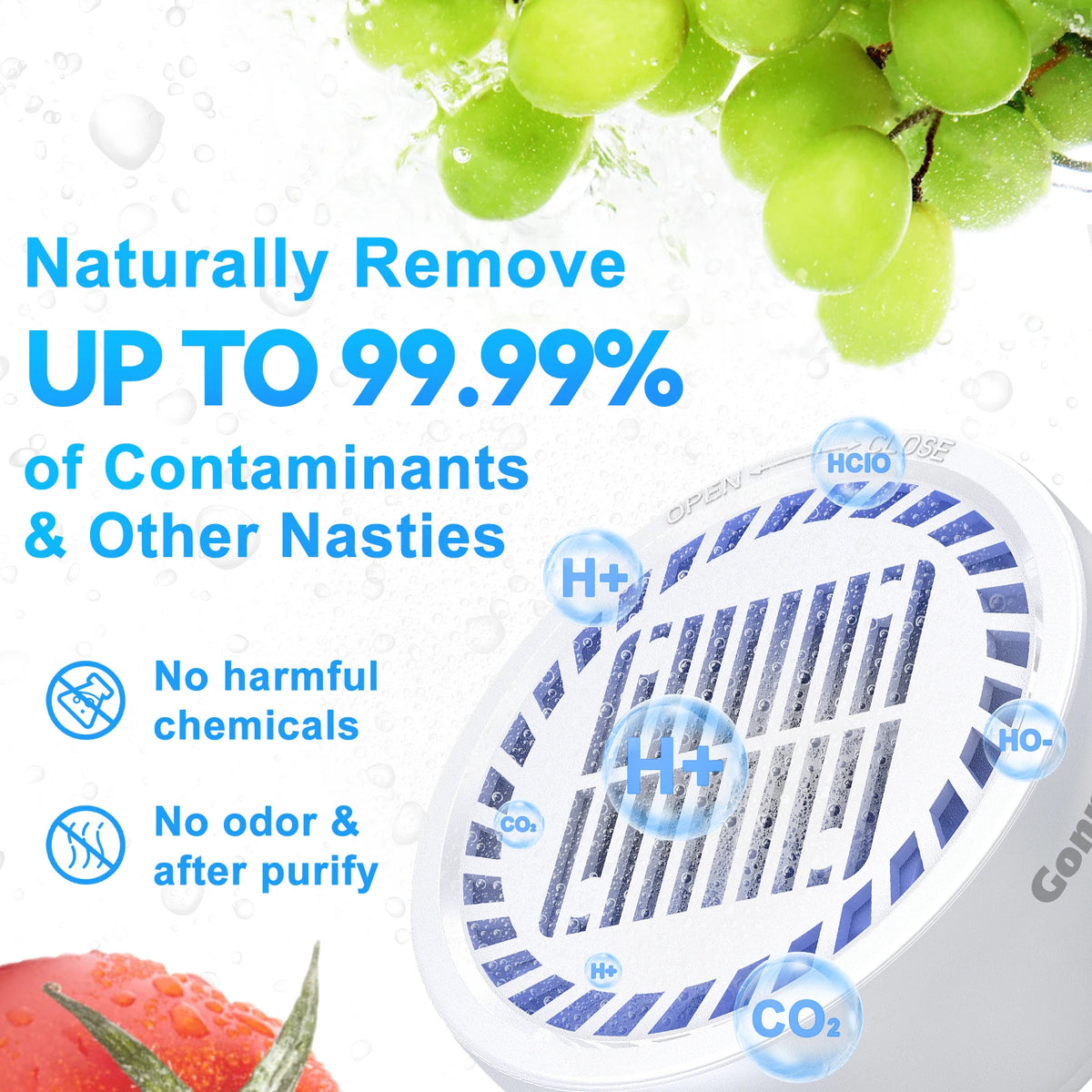 USB Ozone & Hydroxyl Fruit & Vegetable Purifier | DUTRIEUX Produce Purifier SPOT