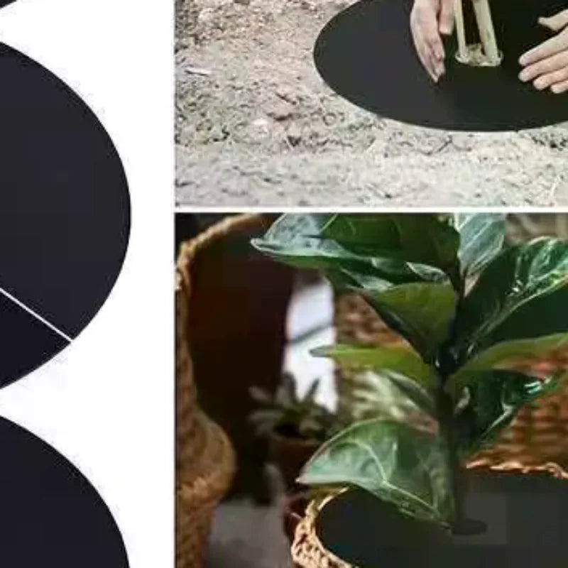 10-Pack Non-Woven Tree Mulch Rings – Reusable Weed Barrier Weed Barrier Mat SPOT