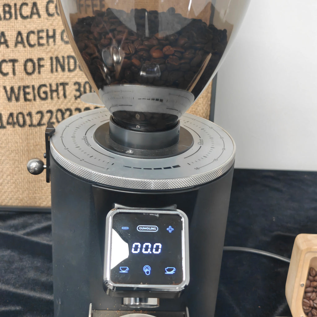 DUTRIEUX 60mm Electric Coffee Grinder – 500g, 250W Commercial Electric Coffee Grinder SPOT