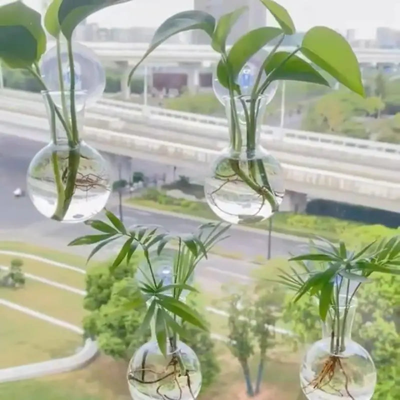 Mini Wall-Mounted Hydroponic Propagation Vases – Set of 2/3/4 Hanging Propagation Vase SPOT