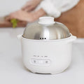 DUTRIEUX 1L Mini Rice Cooker – Stainless Steel 500W Mini Rice Cooker SPOT White CN