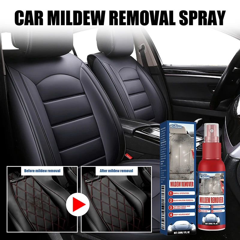 Car Interior Mold Remover Spray – Seats, Mats & Ceiling Cleaner Car Interior Cleaner SPOT