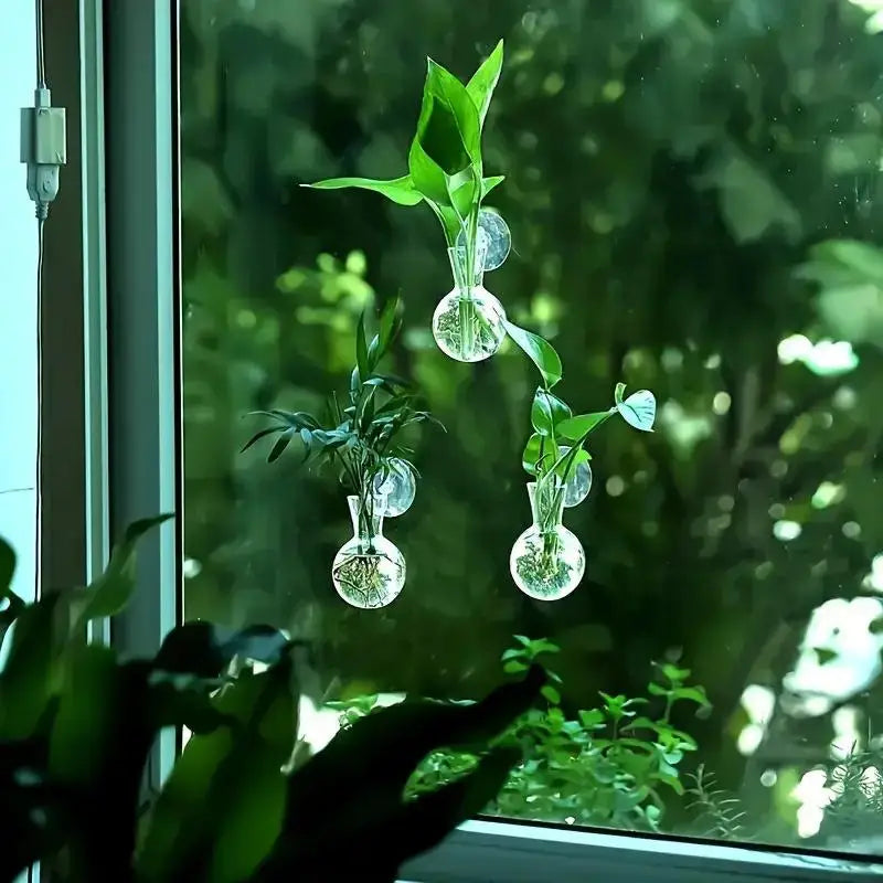 Mini Wall-Mounted Hydroponic Propagation Vases – Set of 2/3/4 Hanging Propagation Vase SPOT