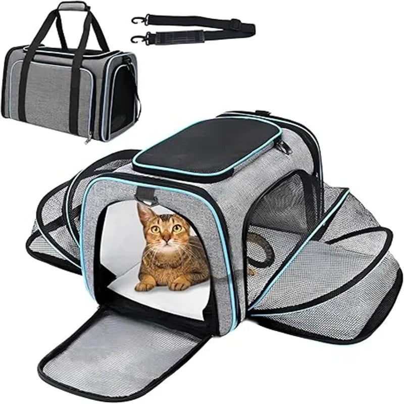 Breathable Foldable Pet Carrier Backpack – Cats & Small Dogs Pet Carrier Backpack SPOT